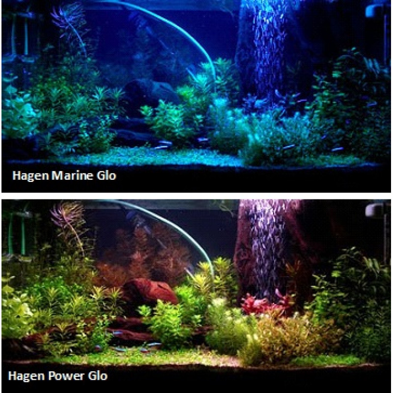 Hagen Aqua-Glo T8 / 30W / 895mm – dienas gaisma luminiscences lampa,  pastiprina zivju dabīgās krāsas, stimulē augu